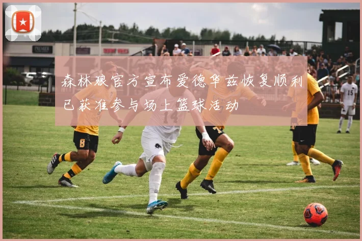 森林狼官方宣布爱德华兹恢复顺利已获准参与场上篮球活动