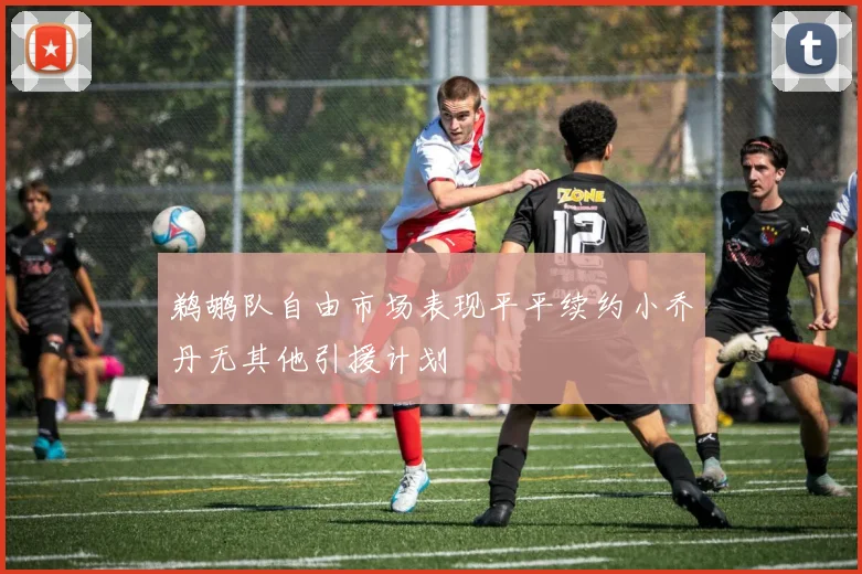 鹈鹕队自由市场表现平平续约小乔丹无其他引援计划