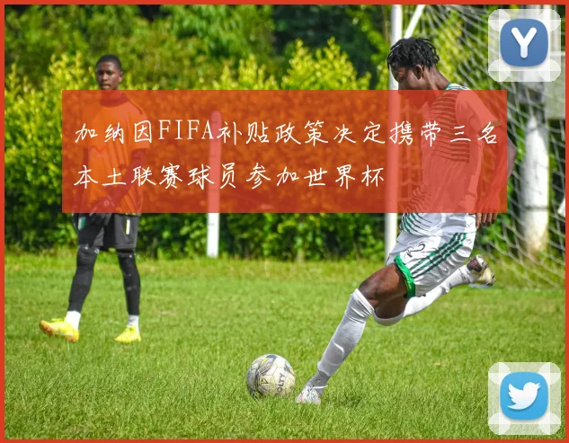 加纳因FIFA补贴政策决定携带三名本土联赛球员参加世界杯